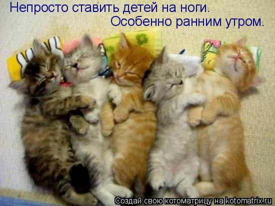 Непросто ставить детей на ноги. Особенно ранним утром.... Котоматрица: Непросто ставить детей на ноги. Особенно ранним утром.