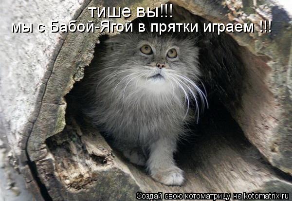 тише вы!!! мы с Бабой-Ягой в прятки играем !!!... Котоматрица: тише вы!!! мы с Бабой-Ягой в прятки играем !!!