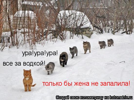 все за водкой! все за водкой! ура!ура!ура! только бы жена не запалила!... Котоматрица: все за водкой! все за водкой! ура!ура!ура! только бы жена не запалила!