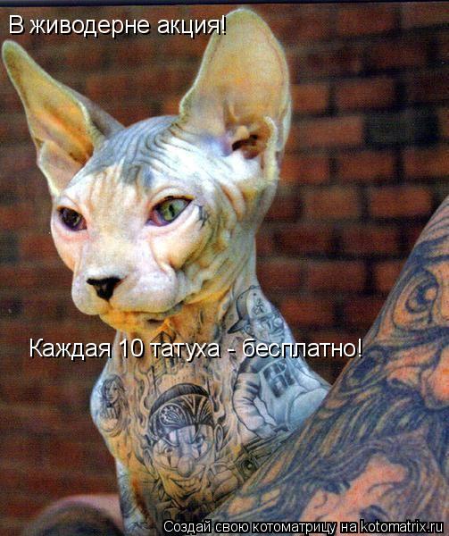 В живодерне акция! Каждая 10 татуха - бесплатно!... Котоматрица: В живодерне акция! Каждая 10 татуха - бесплатно!