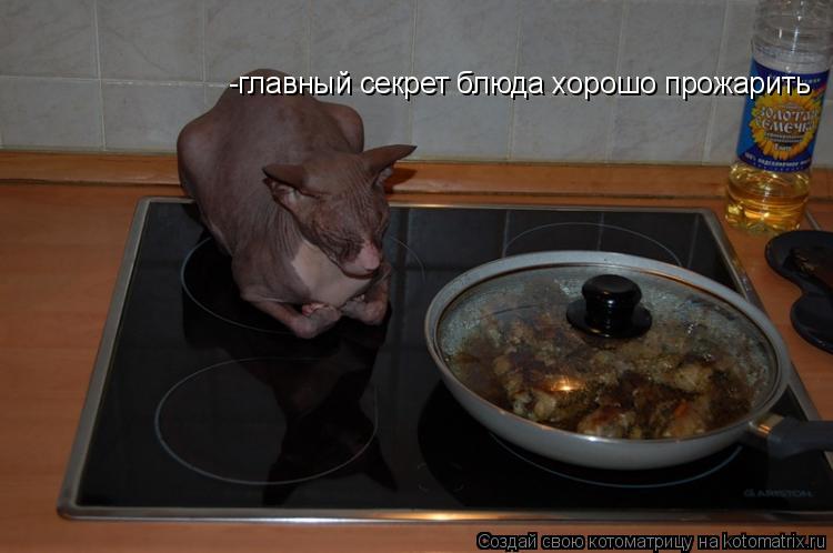 -главный секрет блюда хорошо прожарить... Котоматрица: -главный секрет блюда хорошо прожарить