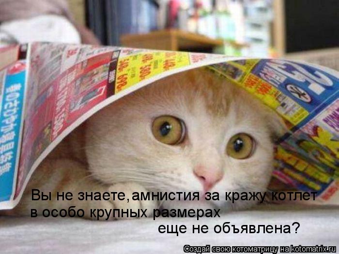 Вы не знаете, амнистия за кражу котлет в особо крупных размерах еще не объявлена?... Котоматрица: Вы не знаете, амнистия за кражу котлет в особо крупных размерах еще не объявлена?