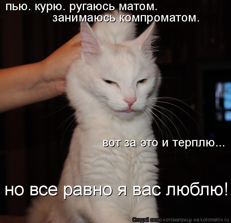 пью. курю. ругаюсь матом. занимаюсь компроматом. вот за это и терплю... но все равно я вас люблю!... Котоматрица: пью. курю. ругаюсь матом. занимаюсь компроматом. вот за это и терплю... но все равно я вас люблю!