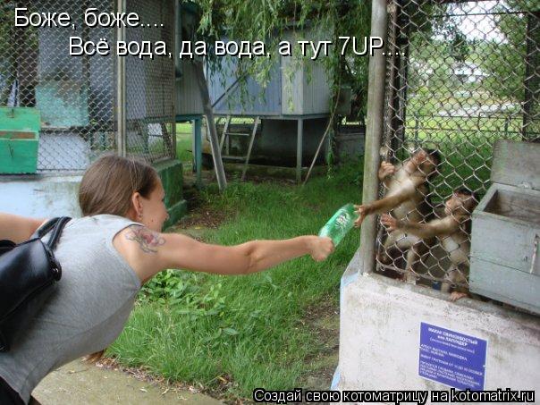 Боже, боже.... Всё вода, да вода, а тут 7UP....... Котоматрица: Боже, боже.... Всё вода, да вода, а тут 7UP....