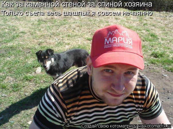 Как за каменной стеной за спиной хозяина Только съела весь шашлык я совсем нечаянно... Котоматрица: Как за каменной стеной за спиной хозяина Только съела весь шашлык я совсем нечаянно