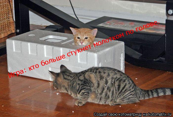 Игра: кто больше стукнет молотком по голове.... Котоматрица: Игра: кто больше стукнет молотком по голове.