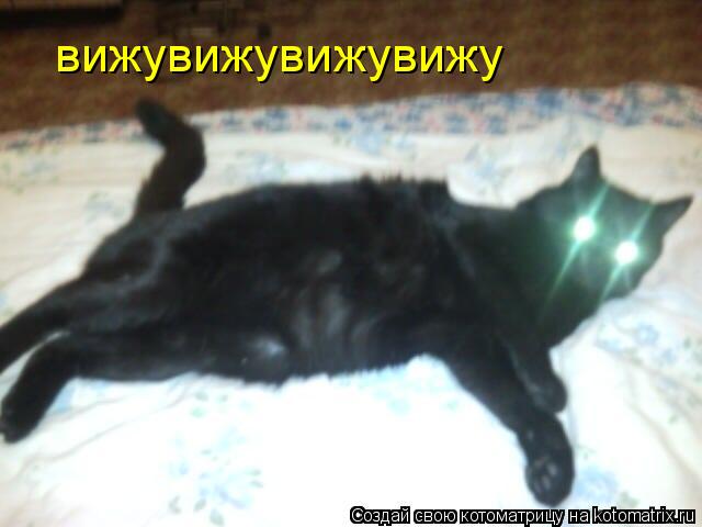вижувижувижувижу... Котоматрица: вижувижувижувижу