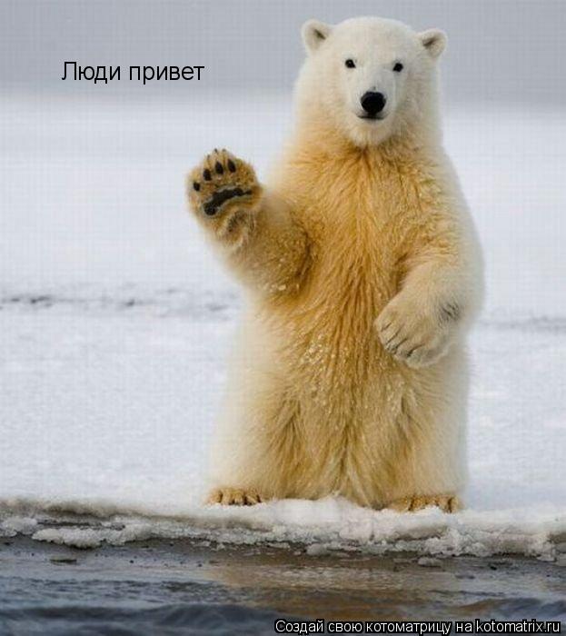 Люди привет... Котоматрица: Люди привет