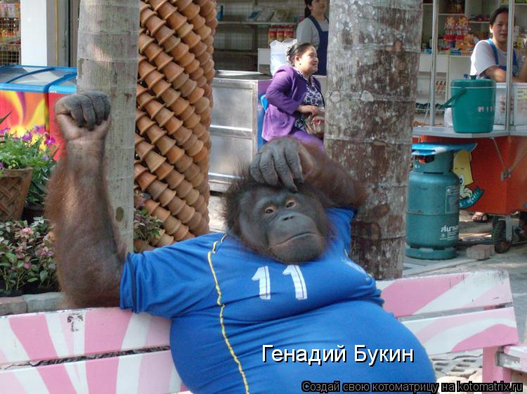 Генадий Букин... Котоматрица: Генадий Букин