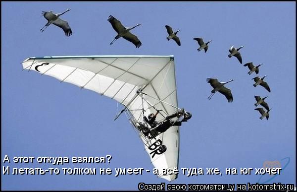И летать-то толком не умеет - а всё туда же, на юг хочет А этот откуда взялся?... Котоматрица: И летать-то толком не умеет - а всё туда же, на юг хочет А этот откуда взялся?