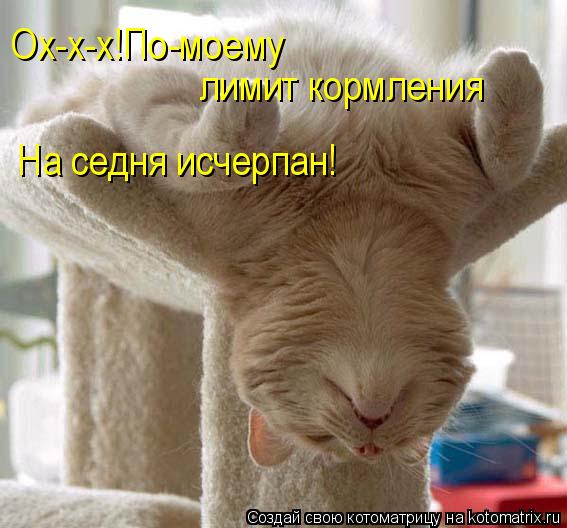 Ох-х-х!По-моему лимит кормления На седня исчерпан!... Котоматрица: Ох-х-х!По-моему лимит кормления На седня исчерпан!