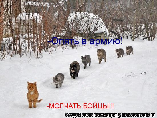 Котоматрица: -Опять в армию! -МОЛЧАТЬ БОЙЦЫ!!!