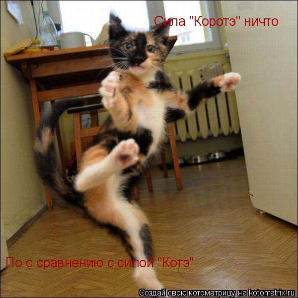 Сила "Коротэ" ничто По с сравнению с силой "Котэ"... Котоматрица: Сила "Коротэ" ничто По с сравнению с силой "Котэ"