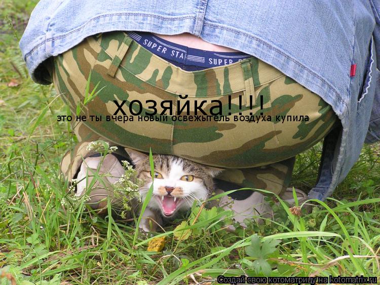 хозяйка!!!! это не ты вчера новый освежытель воздуха купила... Котоматрица: хозяйка!!!! это не ты вчера новый освежытель воздуха купила