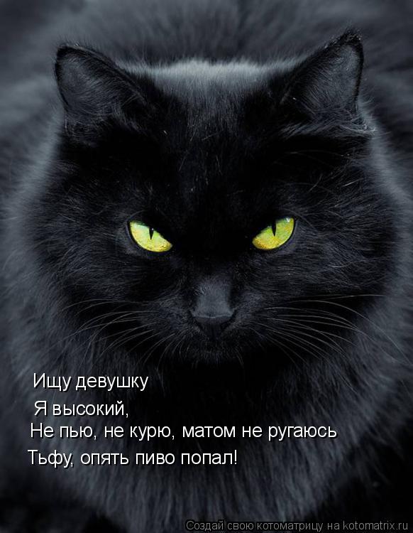 Ищу девушку Я высокий, Не пью, не курю, матом не ругаюсь Тьфу, опять пиво попал!... Котоматрица: Ищу девушку Я высокий, Не пью, не курю, матом не ругаюсь Тьфу, опять пиво попал!