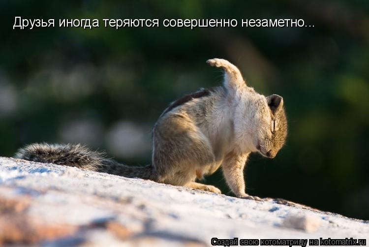 Друзья иногда теряются совершенно незаметно...... Котоматрица: Друзья иногда теряются совершенно незаметно...