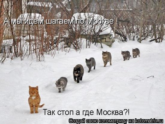 А мы идём шагаем по Москве ! Так стоп а где Москва?! А мы идём шагаем по Москве !... Котоматрица: А мы идём шагаем по Москве ! Так стоп а где Москва?! А мы идём шагаем по Москве !