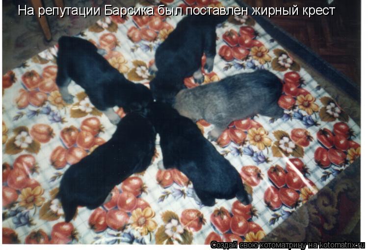 На репутации Барсика был поставлен жирный крест... Котоматрица: На репутации Барсика был поставлен жирный крест