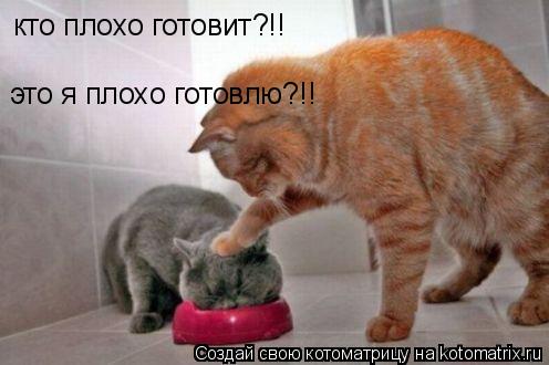 кто плохо готовит?!! это я плохо готовлю?!!... Котоматрица: кто плохо готовит?!! это я плохо готовлю?!!