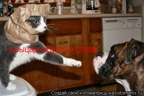 я рыцарь круглого стола... Котоматрица: я рыцарь круглого стола