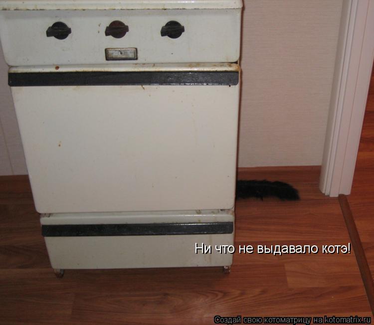 Ни что не выдавало котэ!... Котоматрица: Ни что не выдавало котэ!