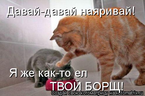 Давай-давай наяривай! Я же как-то ел ТВОЙ БОРЩ!... Котоматрица: Давай-давай наяривай! Я же как-то ел ТВОЙ БОРЩ!