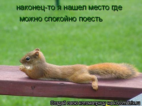 наконец-то я нашел место где можно спокойно поесть... Котоматрица: наконец-то я нашел место где можно спокойно поесть