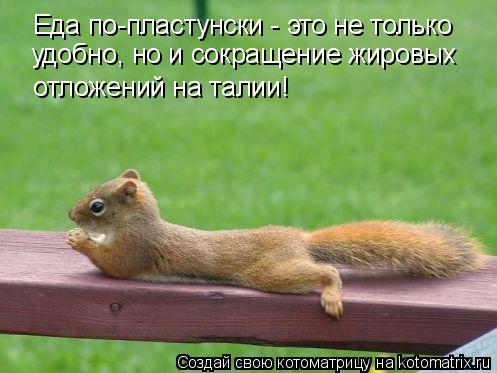 Еда по-пластунски - это не только удобно, но и сокращение жировых отложений на талии!... Котоматрица: Еда по-пластунски - это не только удобно, но и сокращение жировых отложений на талии!