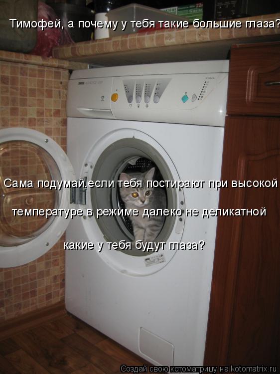 Тимофей, а почему у тебя такие большие глаза? Сама подумай,если тебя постирают при высокой температу... Котоматрица: Тимофей, а почему у тебя такие большие глаза? Сама подумай,если тебя постирают при высокой температуре в режиме далеко не деликатной какие