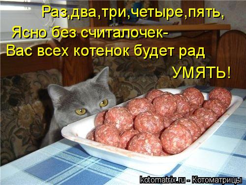Раз,два,три,четыре,пять, Ясно без считалочек- Вас всех котенок будет рад УМЯТЬ!... Котоматрица: Раз,два,три,четыре,пять, Ясно без считалочек- Вас всех котенок будет рад УМЯТЬ!