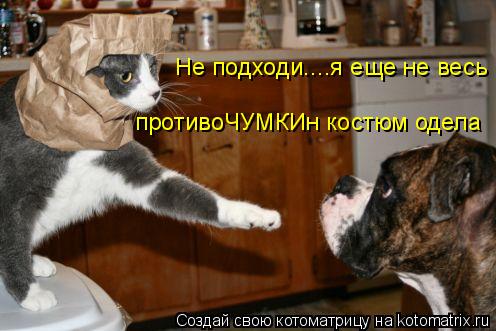 Не подходи....я еще не весь противоЧУМКИн костюм одела... Котоматрица: Не подходи....я еще не весь противоЧУМКИн костюм одела