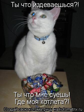 Ты что издеваешься?! Ты что мне суёшь! Где моя котлета?!... Котоматрица: Ты что издеваешься?! Ты что мне суёшь! Где моя котлета?!
