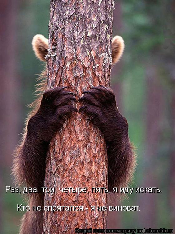 Раз, два, три, четыре, пять, я иду искать. Кто не спрятался - я не виноват.... Котоматрица: Раз, два, три, четыре, пять, я иду искать. Кто не спрятался - я не виноват.