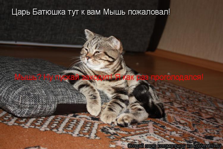 Царь Батюшка тут к вам Мышь пожаловал! Мышь? Ну пускай заходит! Я как раз проголодался!... Котоматрица: Царь Батюшка тут к вам Мышь пожаловал! Мышь? Ну пускай заходит! Я как раз проголодался!