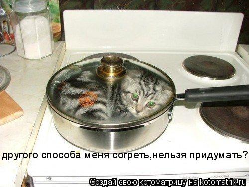 другого способа меня согреть,нельзя придумать?... Котоматрица: другого способа меня согреть,нельзя придумать?