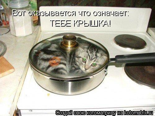 Вот оказывается что означает: ТЕБЕ КРЫШКА!... Котоматрица: Вот оказывается что означает: ТЕБЕ КРЫШКА!