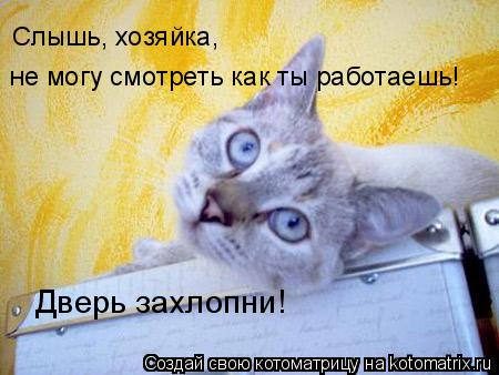 не могу смотреть как ты работаешь! Дверь захлопни! Слышь, хозяйка,... Котоматрица: не могу смотреть как ты работаешь! Дверь захлопни! Слышь, хозяйка,