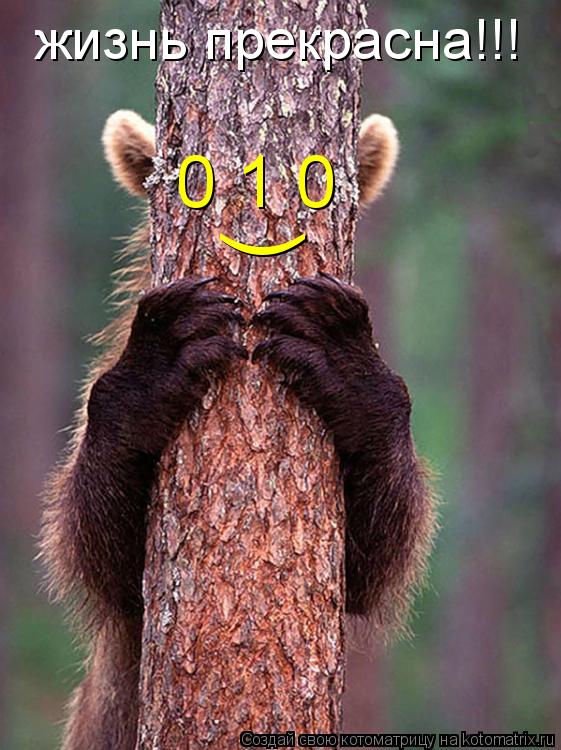 ) 0 1 0 жизнь прекрасна!!!... Котоматрица: ) 0 1 0 жизнь прекрасна!!!