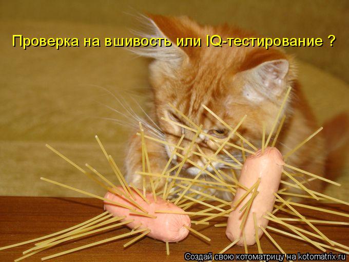 Проверка на вшивость или IQ-тестирование ?... Котоматрица: Проверка на вшивость или IQ-тестирование ?