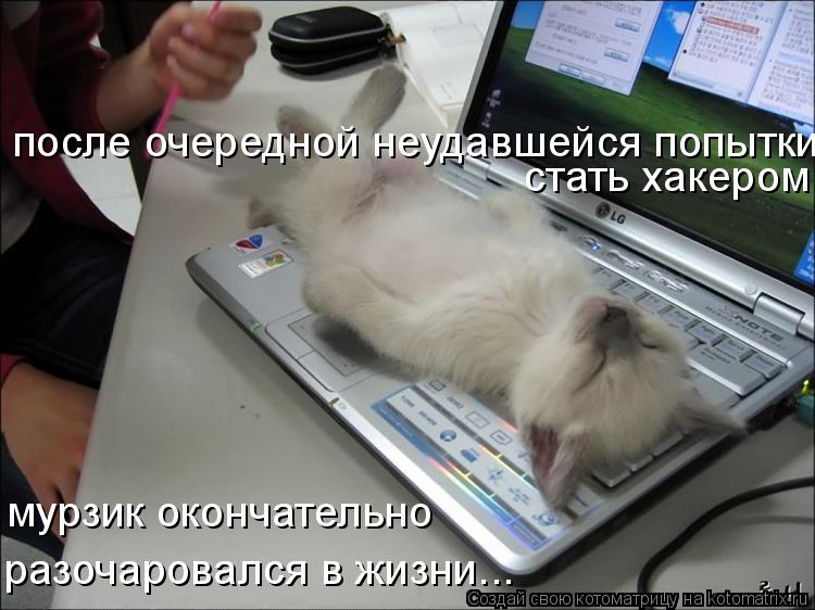 после очередной неудавшейся попытки стать хакером мурзик окончательно разочаровался в жизни...... Котоматрица: после очередной неудавшейся попытки стать хакером мурзик окончательно разочаровался в жизни...