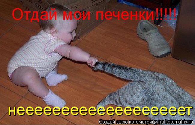 Отдай мои печенки!!!!! нееееееееееееееееееет... Котоматрица: Отдай мои печенки!!!!! нееееееееееееееееееет