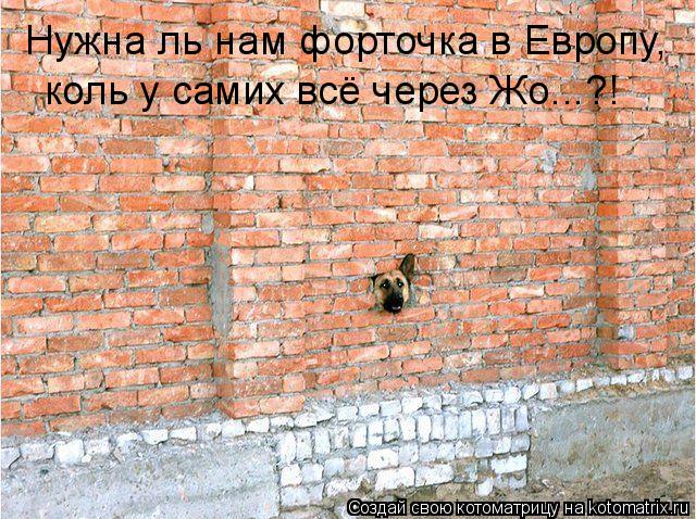 Нужна ль нам форточка в Европу, коль у самих всё через Жо...?!... Котоматрица: Нужна ль нам форточка в Европу, коль у самих всё через Жо...?!