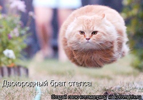 Двоюродный брат стелса... Котоматрица: Двоюродный брат стелса