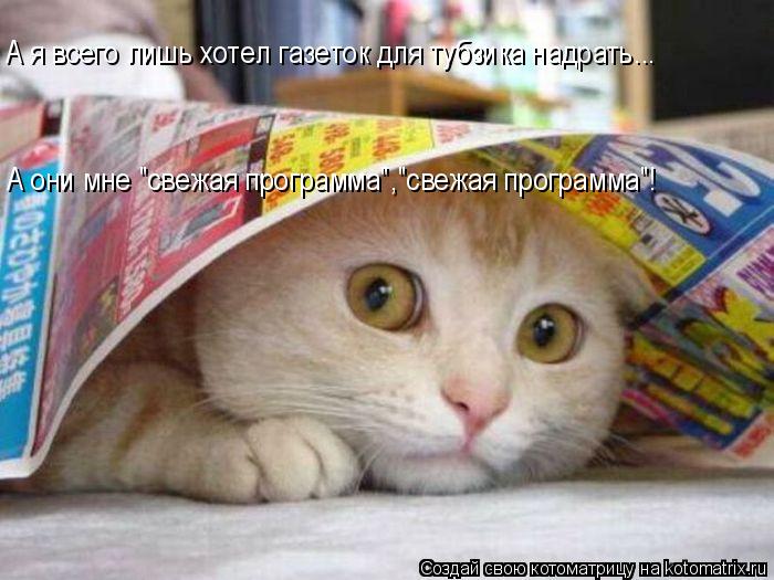 А я всего лишь хотел газеток для тубзика надрать... А они мне "свежая программа","свежая программа"!... Котоматрица: А я всего лишь хотел газеток для тубзика надрать... А они мне "свежая программа","свежая программа"!