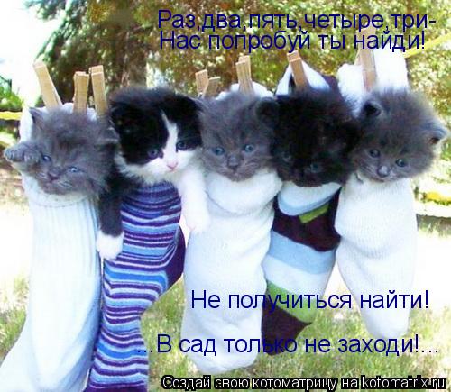 Раз,два,пять,четыре,три- Нас попробуй ты найди! Не получиться найти! ...В сад только не заходи!...... Котоматрица: Раз,два,пять,четыре,три- Нас попробуй ты найди! Не получиться найти! ...В сад только не заходи!...