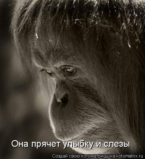 Она прячет улыбку и слезы... Котоматрица: Она прячет улыбку и слезы