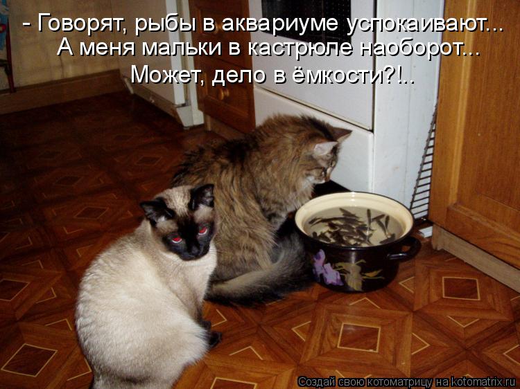 - Говорят, рыбы в аквариуме успокаивают... А меня мальки в кастрюле наоборот... Может, дело в ёмкости... Котоматрица: - Говорят, рыбы в аквариуме успокаивают... А меня мальки в кастрюле наоборот... Может, дело в ёмкости?!..