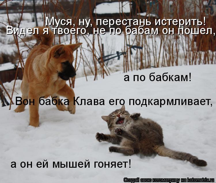 Муся, ну, перестань истерить! Видел я твоего, не по бабам он пошел, а по бабкам! Вон бабка Клава ег... Котоматрица: Муся, ну, перестань истерить! Видел я твоего, не по бабам он пошел, а по бабкам! Вон бабка Клава его подкармливает, а он ей мышей гоняет!