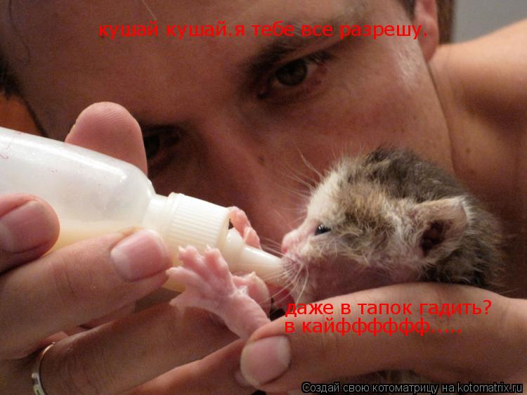кушай кушай.я тебе все разрешу. даже в тапок гадить? в кайфффффф........ Котоматрица: кушай кушай.я тебе все разрешу. даже в тапок гадить? в кайфффффф.....