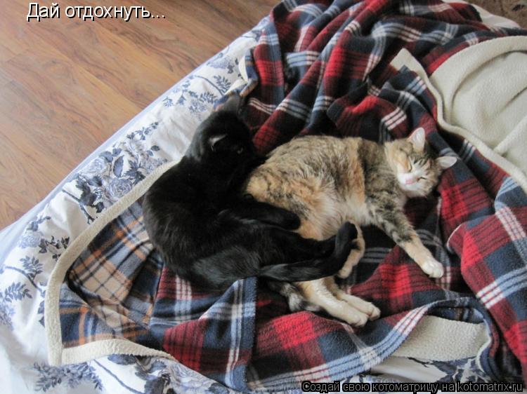 Дай отдохнуть...... Котоматрица: Дай отдохнуть...